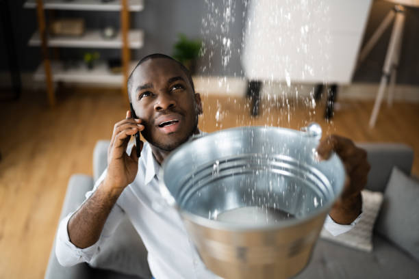 Best Basement water damage restoration  in Wmington, IL