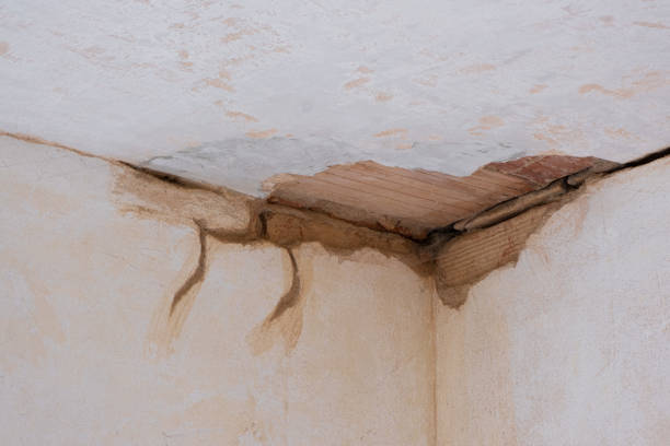 Best Water damage restoration near me  in Wmington, IL