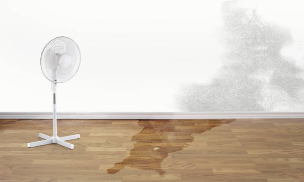 Best Emergency water damage restoration  in Wmington, IL