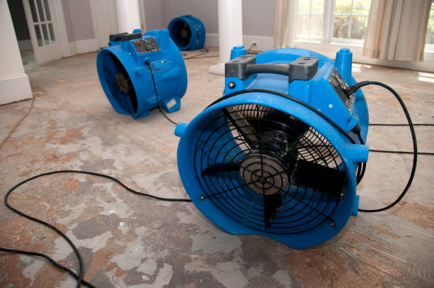 Best Water damage contractors near me  in Wmington, IL