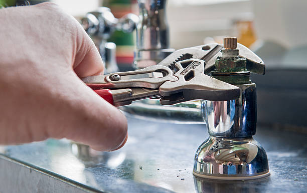 Best Flood restoration services  in Wmington, IL