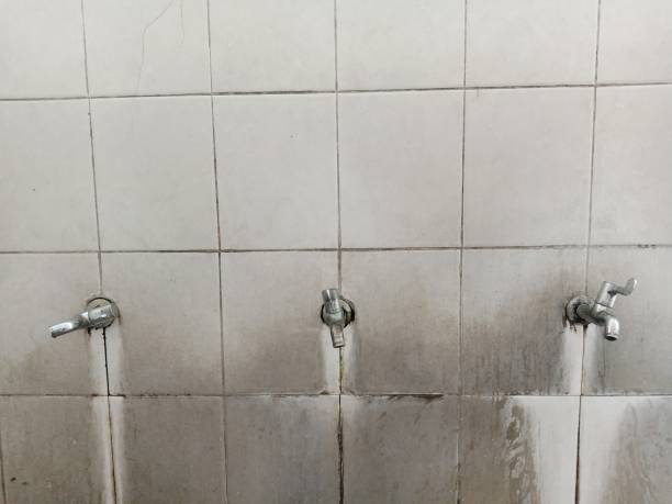 Best Professional water damage repair  in Wmington, IL