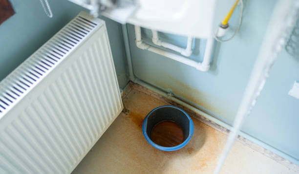 Best Water damage restoration company  in Wmington, IL