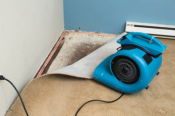 Best Water damage restoration cost  in Wmington, IL